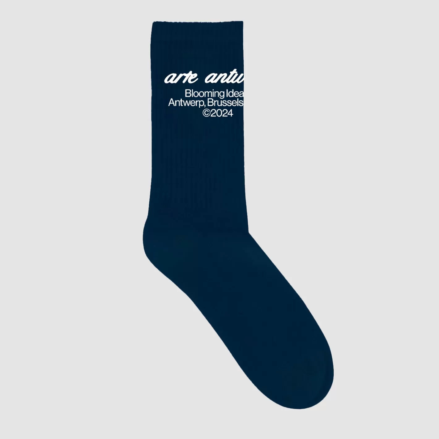 Cheap Socks - Navy Accessoires