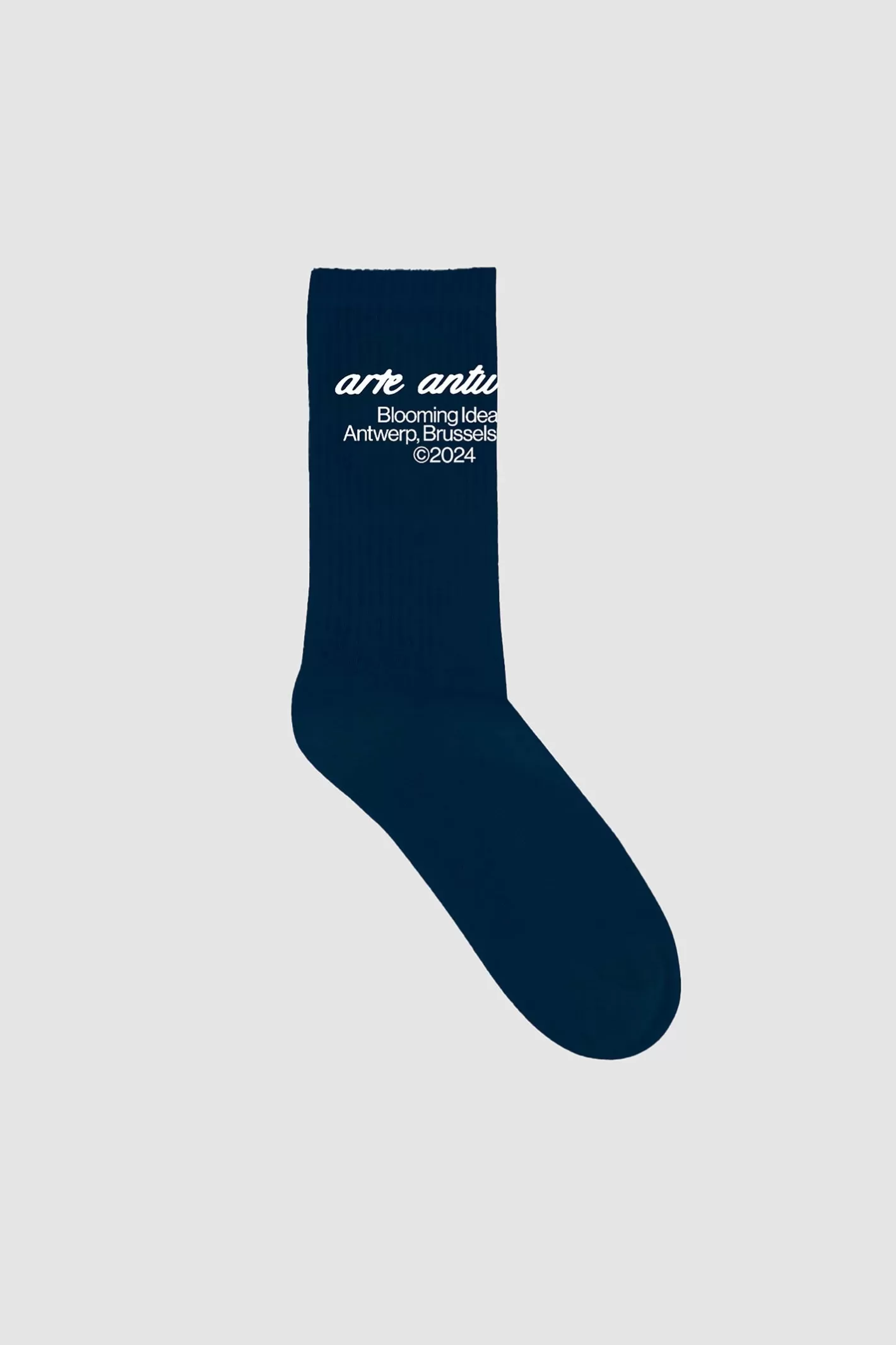 Cheap Socks - Navy Accessoires